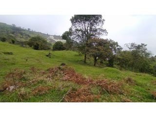 Lote en muy buen precio, proyecto Matasano, Barbosa, pago a 1 año