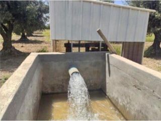 Foto 2 de VENTA DE FINCA 24,5 HAS EN BUEN ORDEN, SAN MARTN, MENDOZA.