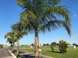 Lote Venta Canning La Alameda