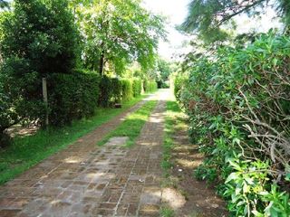 Foto 3 de Terreno en Venta en El Talar, Tigre, Buenos Aires