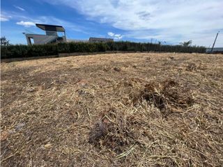 Foto 6 de BROKER- LOTES EN VENTA EN PARCELACION CIUDAD VERDE POPAYAN