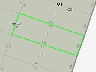 Terreno en venta - 300mts2 - Villa Elisa
