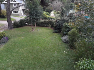 Foto 13 de Venta de Casa 4 ambientes en Bosque Peralta Ramos