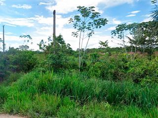 Foto 4 de Terrenos Agricolas Venta Fundo La Esperanza - CAMPOVERDE