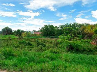Foto 3 de Terrenos Agricolas Venta Fundo La Esperanza - CAMPOVERDE