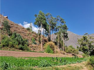 Foto 14 de VENDO CASA DE CAMPO 3248 M2 HUAYLLABAMBA URUBAMBA CUSCO PERU