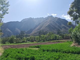 Foto 9 de VENDO CASA DE CAMPO 3248 M2 HUAYLLABAMBA URUBAMBA CUSCO PERU