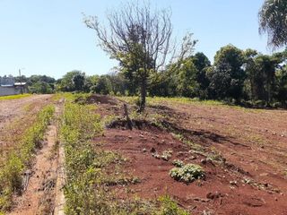 Foto 5 de LOTE EN VENTA