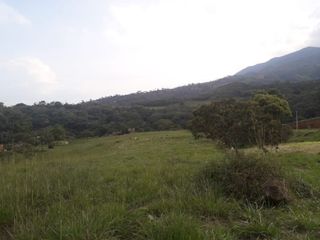 Foto 5 de lote en venta en pance. Cod V9383