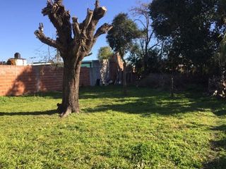 Foto 10 de VENTA DE CASA EN LOBOS