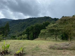 Foto 1 de Venta de lote en La Estrella