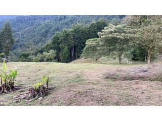 Foto 2 de Venta de lote en La Estrella