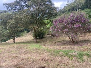 Foto 6 de Venta de lote en La Estrella