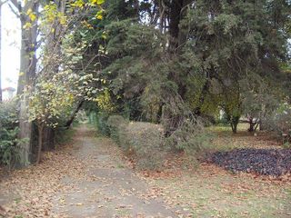 Quinta - Parque San Martin