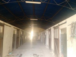 Lindisima chacra de Polo entre Los Cardales y capilla del Señor -  21 hectáreas