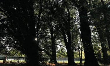 place photo 91