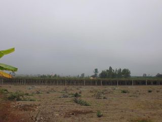 Terrenos Agricolas Venta Rinconada De Mala - MALA