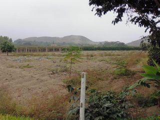 Terrenos Agricolas Venta Rinconada De Mala - MALA