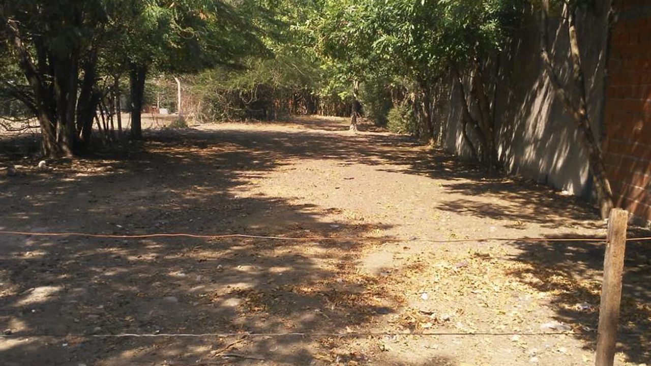 place photo 2