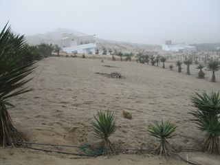Foto 12 de Venta de Lotes 512 m2 Vista al mar  en Punta Negra