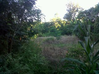 Foto 3 de Vendo Terreno en Apóstoles Misiones