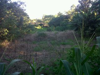 Foto 1 de Vendo Terreno en Apóstoles Misiones