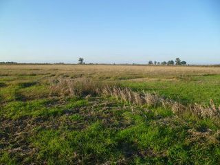 Foto 6 de Campo - Bella Italia