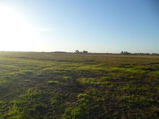 Foto 4 de Campo - Bella Italia