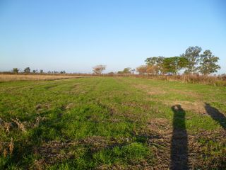 Foto 5 de Campo - Bella Italia