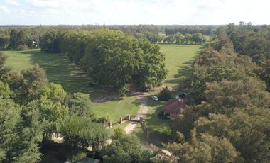 place photo 41