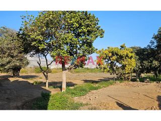 Foto 2 de ¡🌟 Increíble Oportunidad! 
Terreno Rústico ideal para Casa de Campo 🌟
📍 Ubicación Estratégica: Ubicado en el sector Huabalito U.C. 3370B – Campiña d