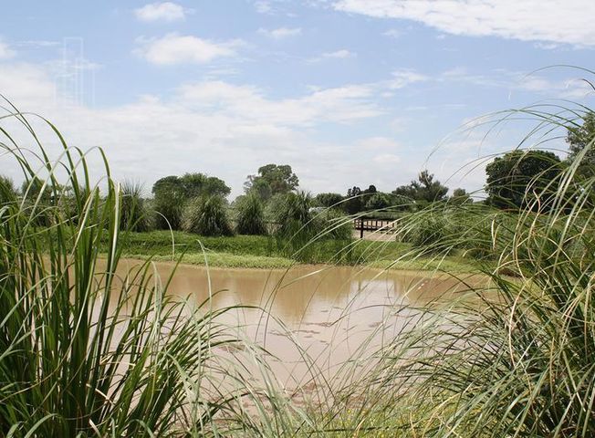 place photo 49