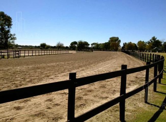 place photo 54