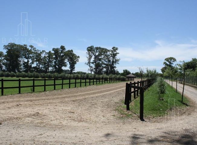 place photo 44