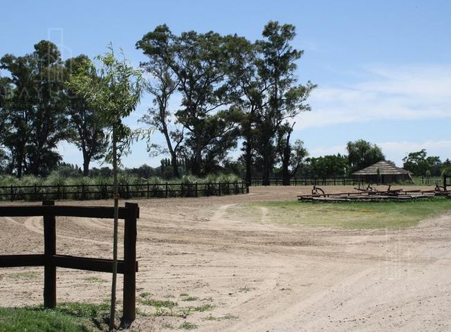 place photo 46