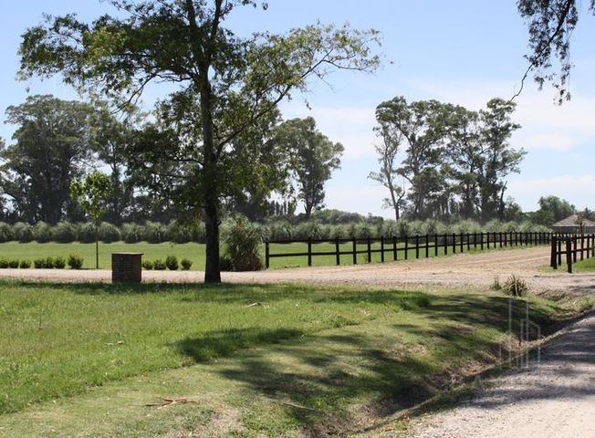 place photo 45