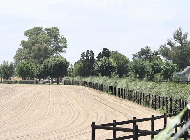 place photo 53