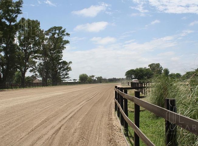 place photo 48