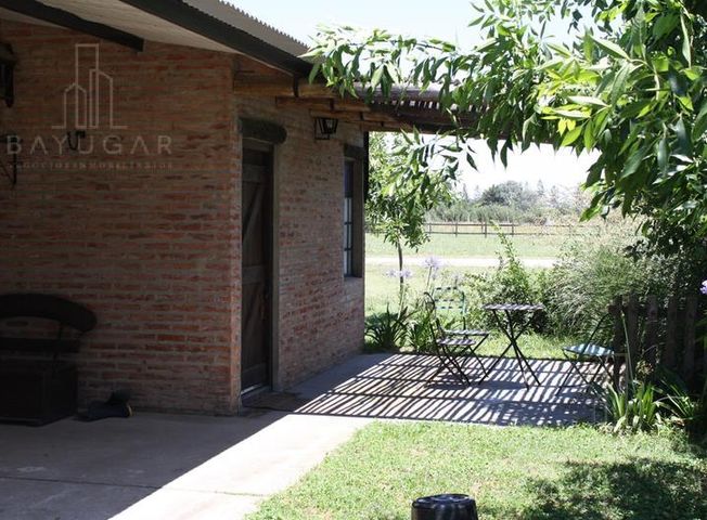 place photo 28