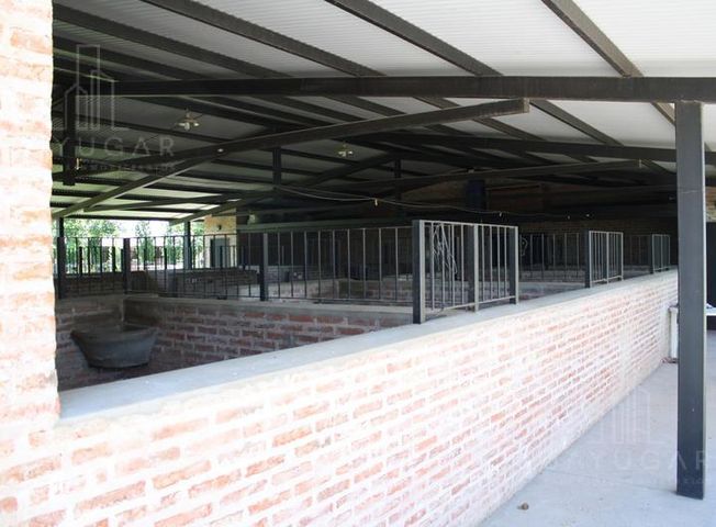 place photo 31