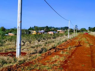 Foto 5 de Loteo Tierra Colorada Jardin America Misiones