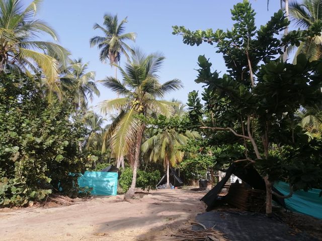 LOTE GUACHACA