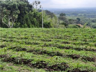 VENTA LOTE CAMPESTRE MOBTE NEGRO  QUINDIO