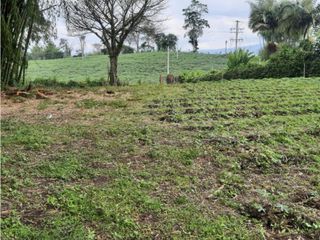 VENTA LOTE CAMPESTRE MOBTE NEGRO  QUINDIO