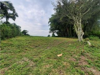 VENTA LOTE CAMPESTRE MOBTE NEGRO  QUINDIO