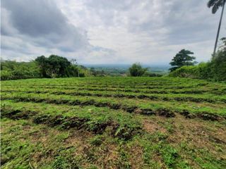 VENTA LOTE CAMPESTRE MOBTE NEGRO  QUINDIO