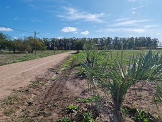 Venta Terreno Longchamps - Lote Barrio 