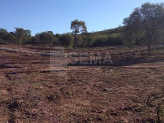 Foto 7 de Lote en Venta Dique Cabra Corral Salta