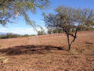 Foto 11 de Lote en Venta Dique Cabra Corral Salta