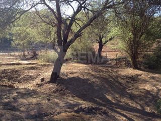 Foto 4 de Lote en Venta Dique Cabra Corral Salta